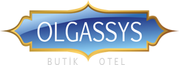 OLGASSYS